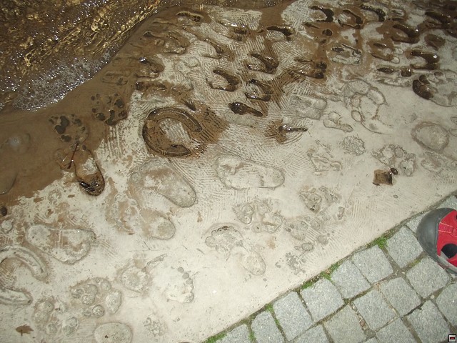 img00051.jpg