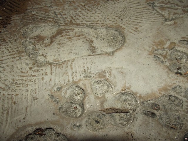 img00052.jpg