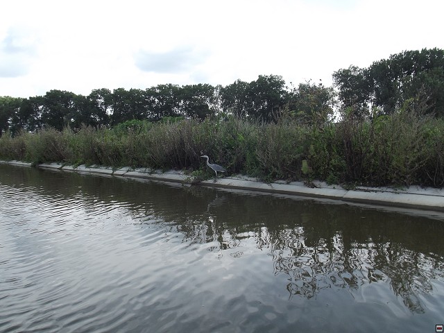 img00073.jpg