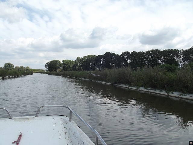 img00074.jpg
