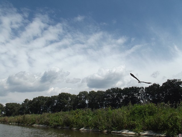 img00075.jpg