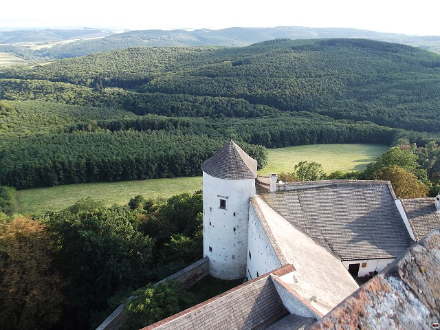 img00084.jpg