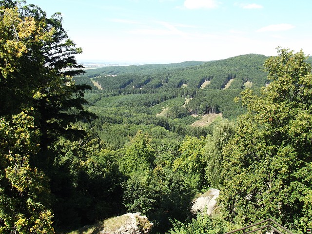 img00106.jpg