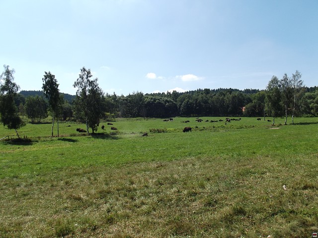 img00143.jpg