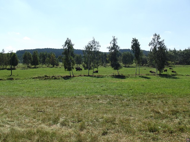 img00144.jpg