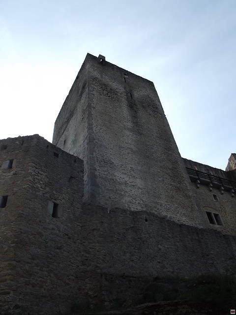 img00169.jpg