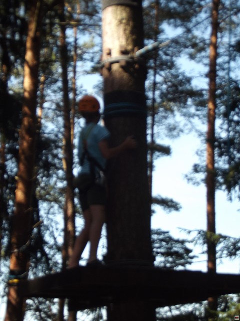 img00174.jpg