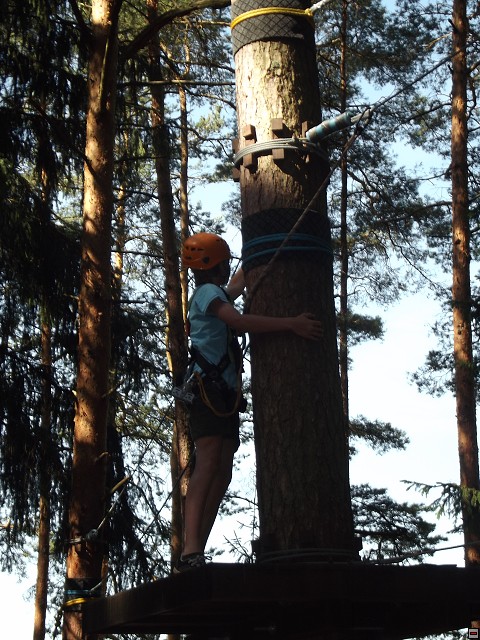 img00175.jpg