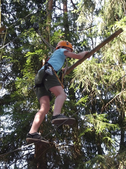 img00181.jpg