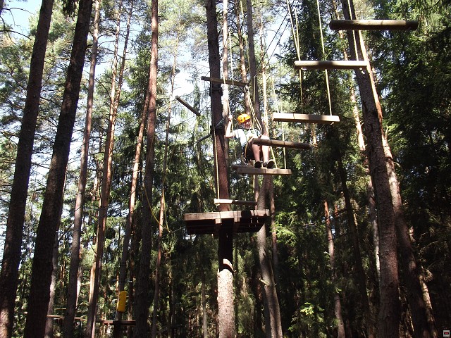 img00196.jpg