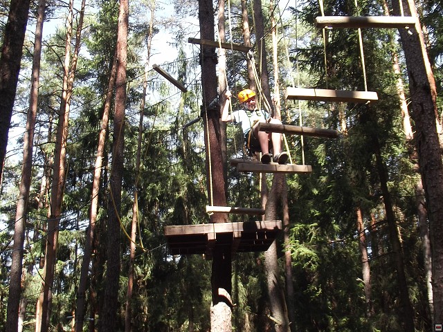 img00197.jpg