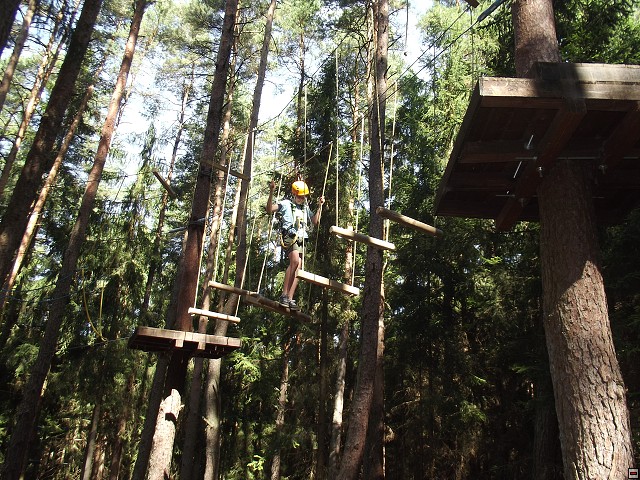 img00202.jpg