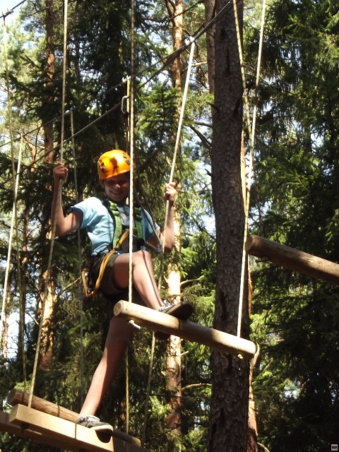 img00203.jpg