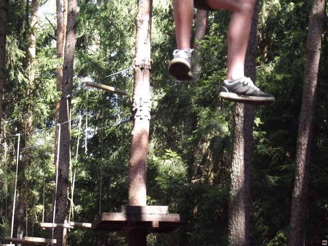 img00206.jpg