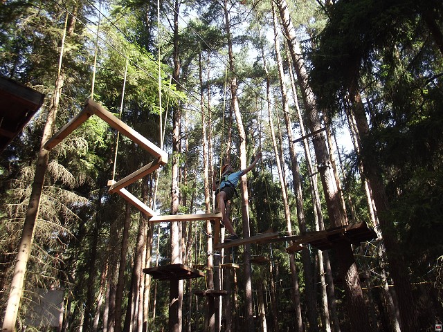 img00220.jpg
