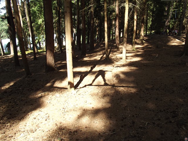 img00222.jpg