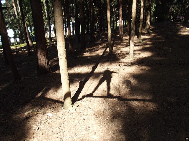 img00223.jpg