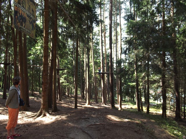 img00236.jpg