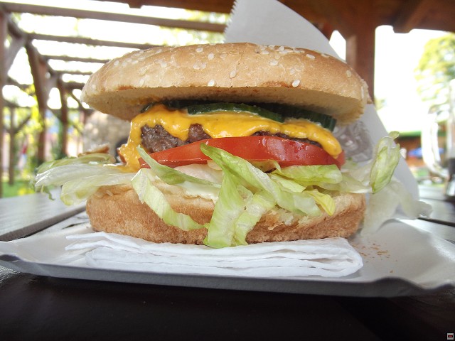 img00260.jpg