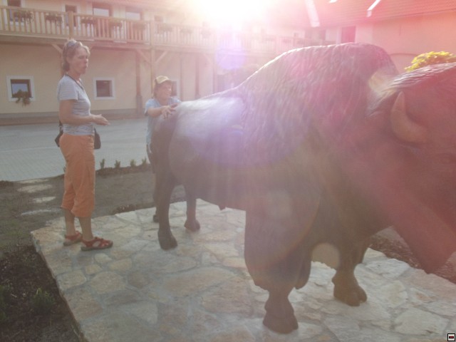 img00265.jpg