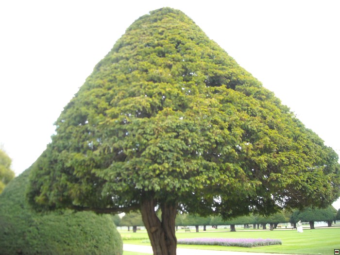 img00082.jpg