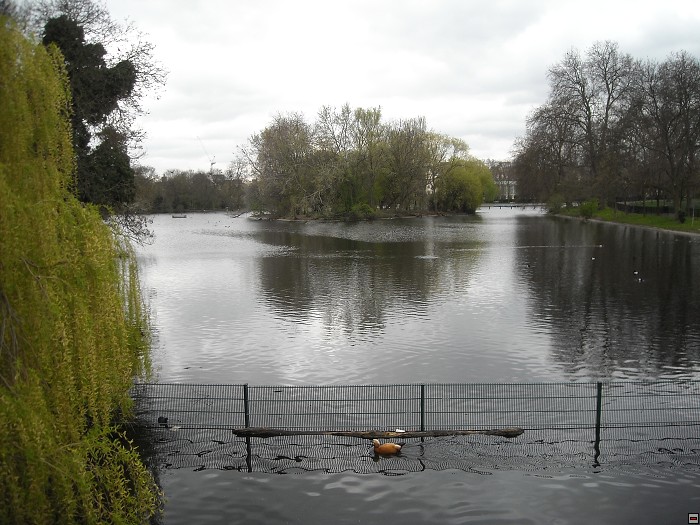 img00105.jpg