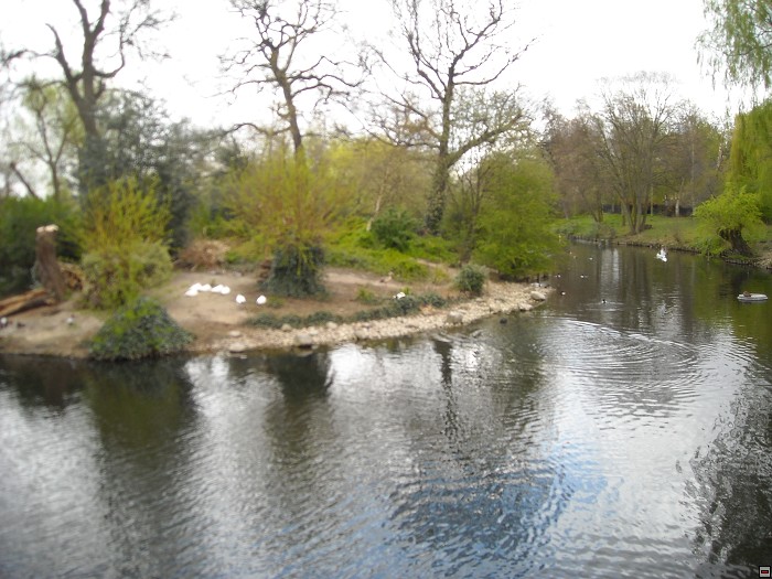 img00106.jpg