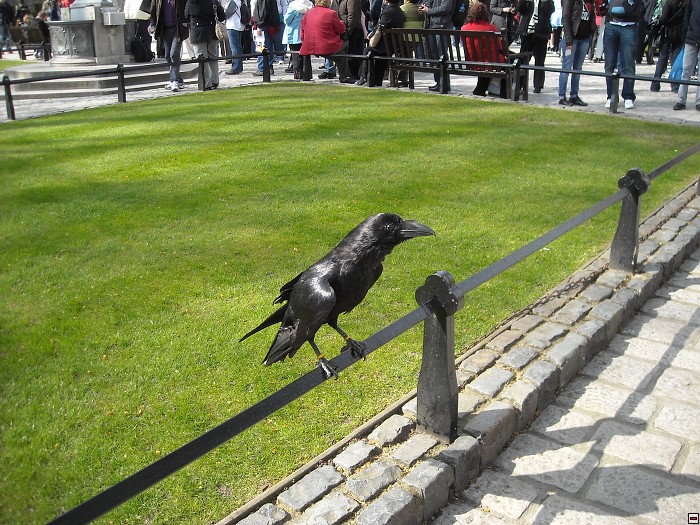 img00132.jpg