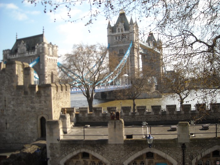 img00134.jpg