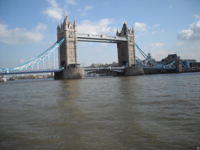 img00135.jpg