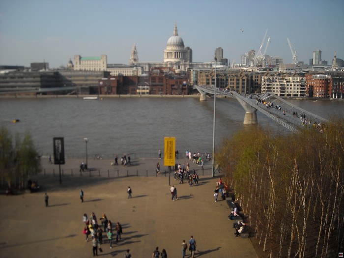 img00155.jpg