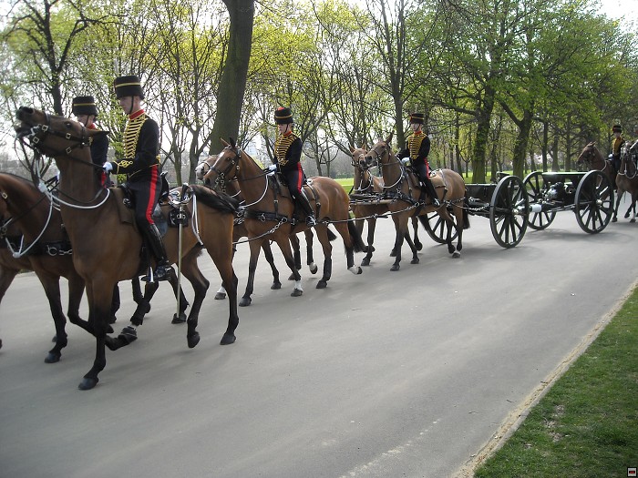 img00161.jpg