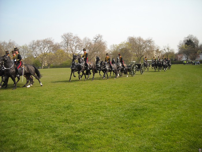 img00163.jpg