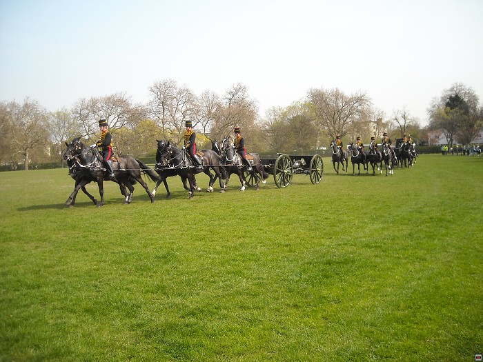 img00164.jpg