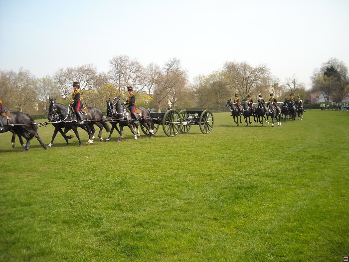 img00165.jpg