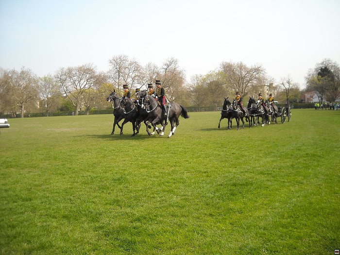 img00169.jpg