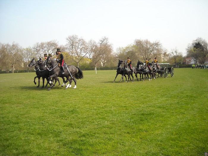 img00170.jpg