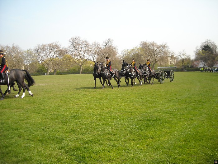 img00171.jpg