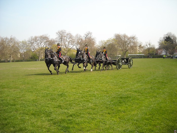 img00172.jpg