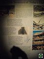 thn00145.jpg