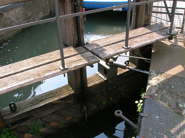 img00006.jpg