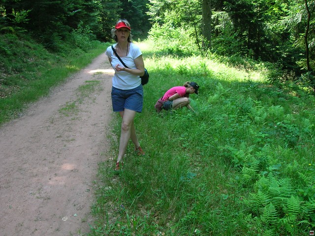 img00017.jpg