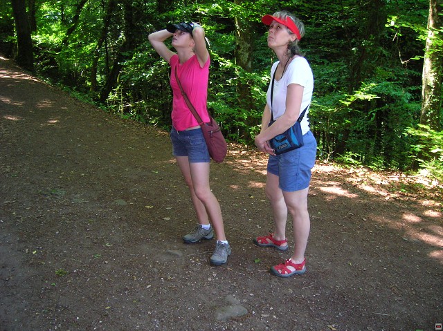 img00018.jpg