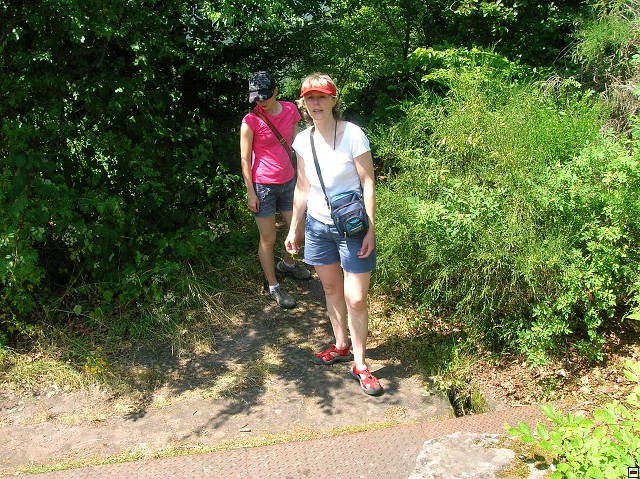 img00024.jpg