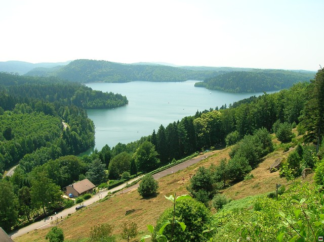 img00025.jpg