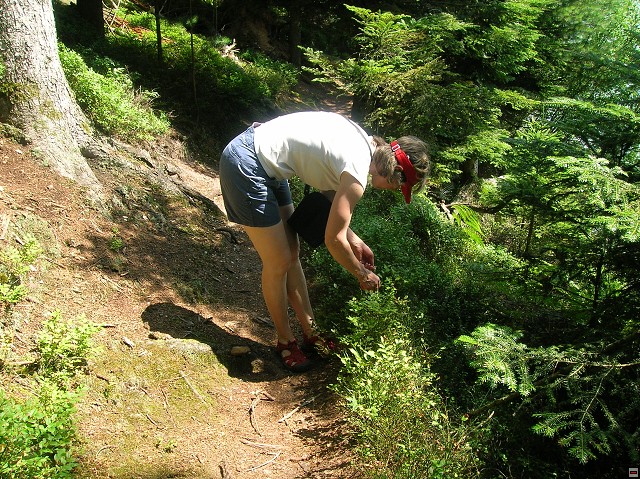 img00029.jpg