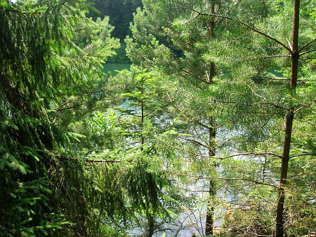 img00030.jpg