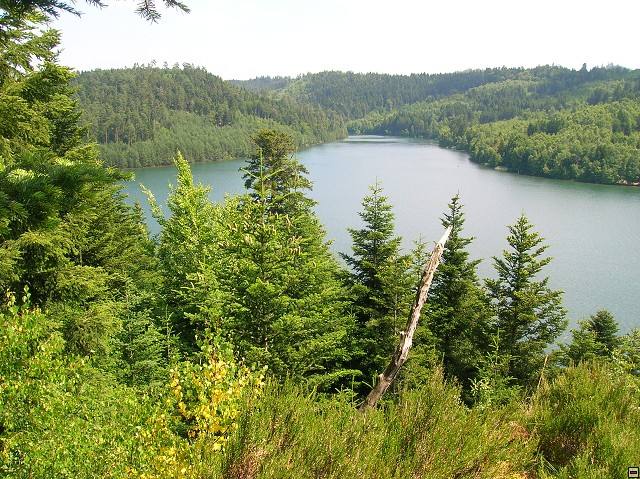 img00032.jpg