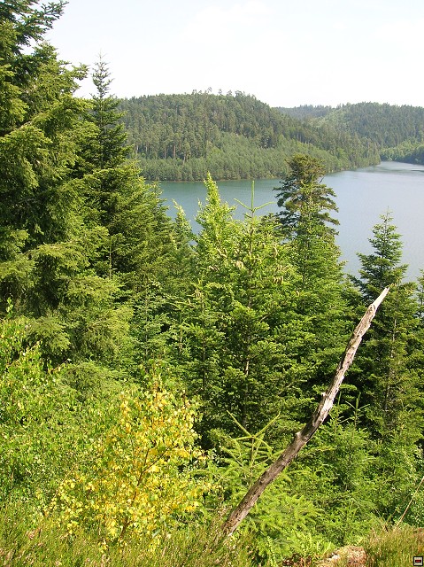 img00034.jpg