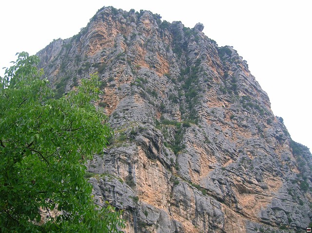 img00054.jpg